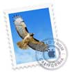 Mail